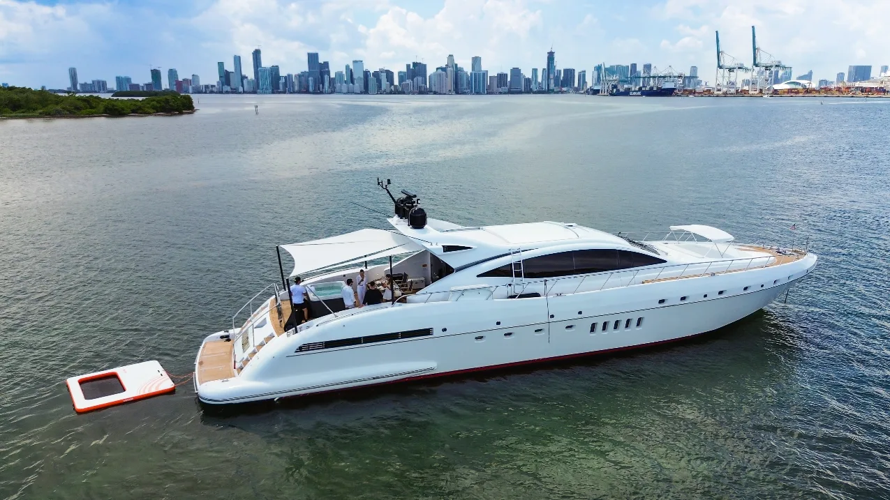 Houdini  Mangusta '