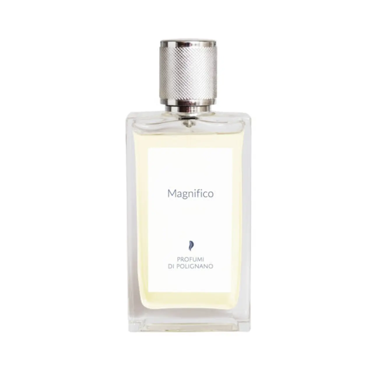 Magnifico 100 ml Eau de Parfum – Profumi di Polignano