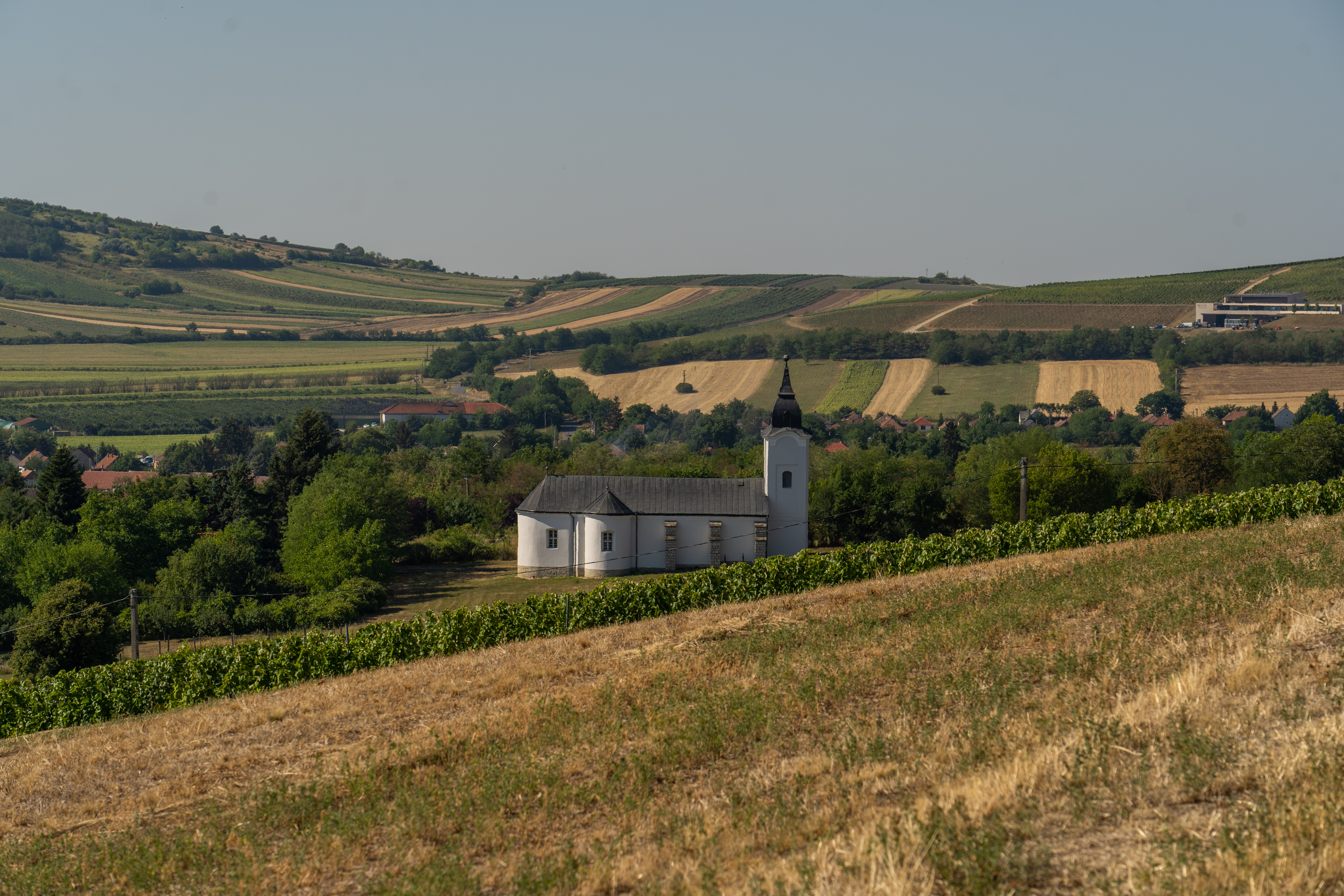 Église catholique grecque