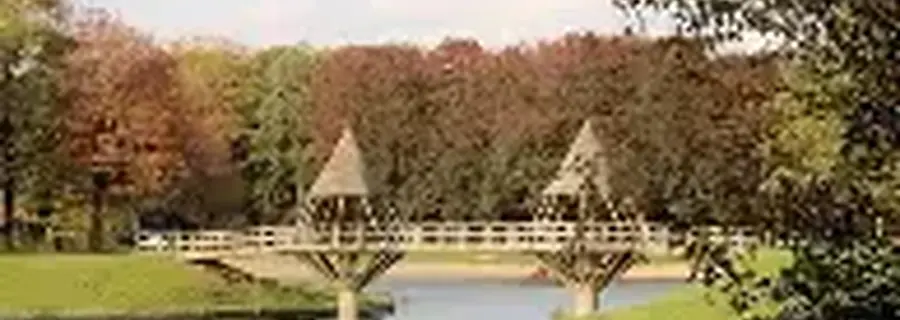 Thijronde door het Hulsbeek