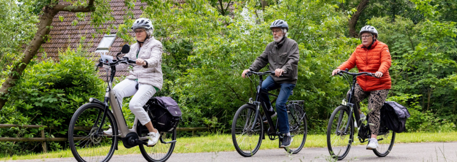 Fiets Slim
