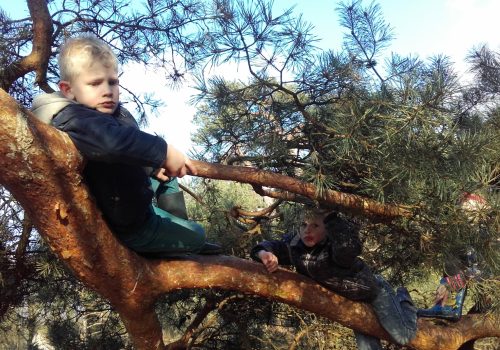 Bewegings- en belevingsspel in het bos