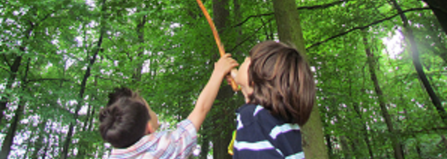 Bewegings- en belevingsspel in de natuur