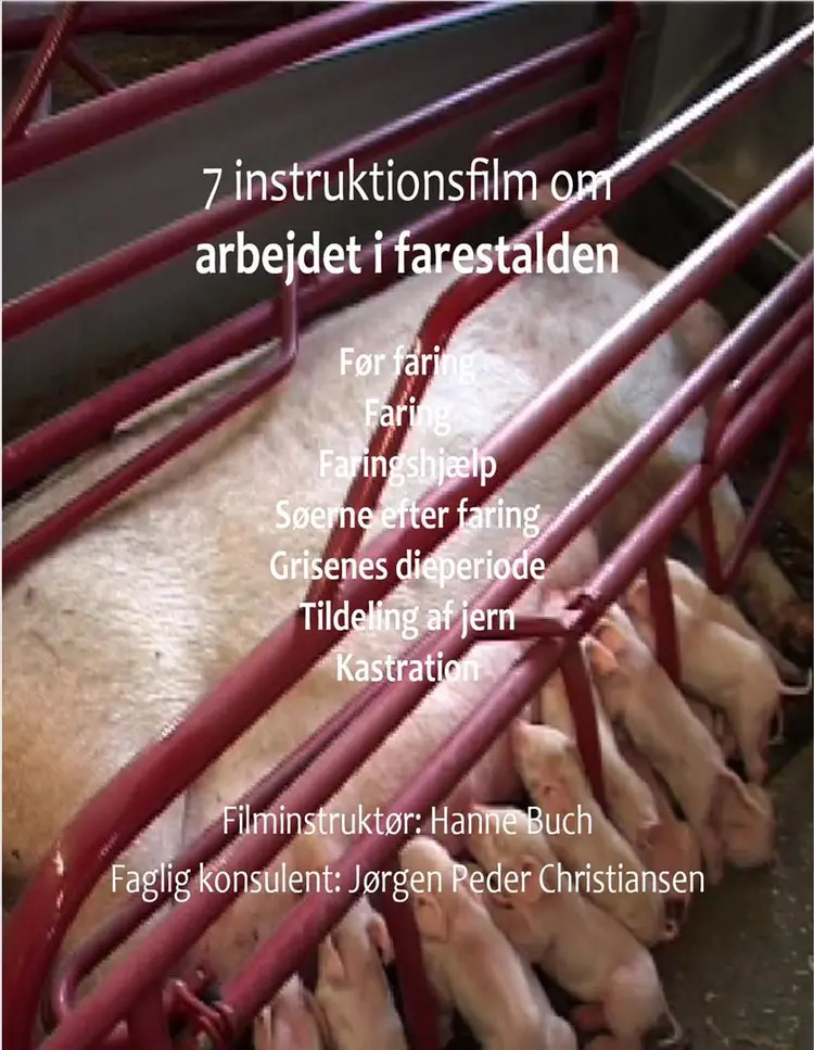 Syv instruktionsfilm om arbejdet i farestalden af Hanne Buch