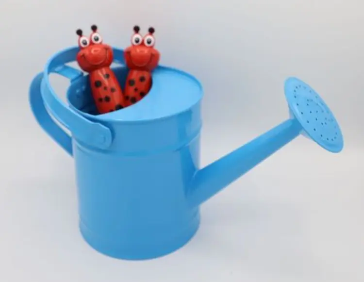 Watering Can & Tool Set af Robert Frederikc