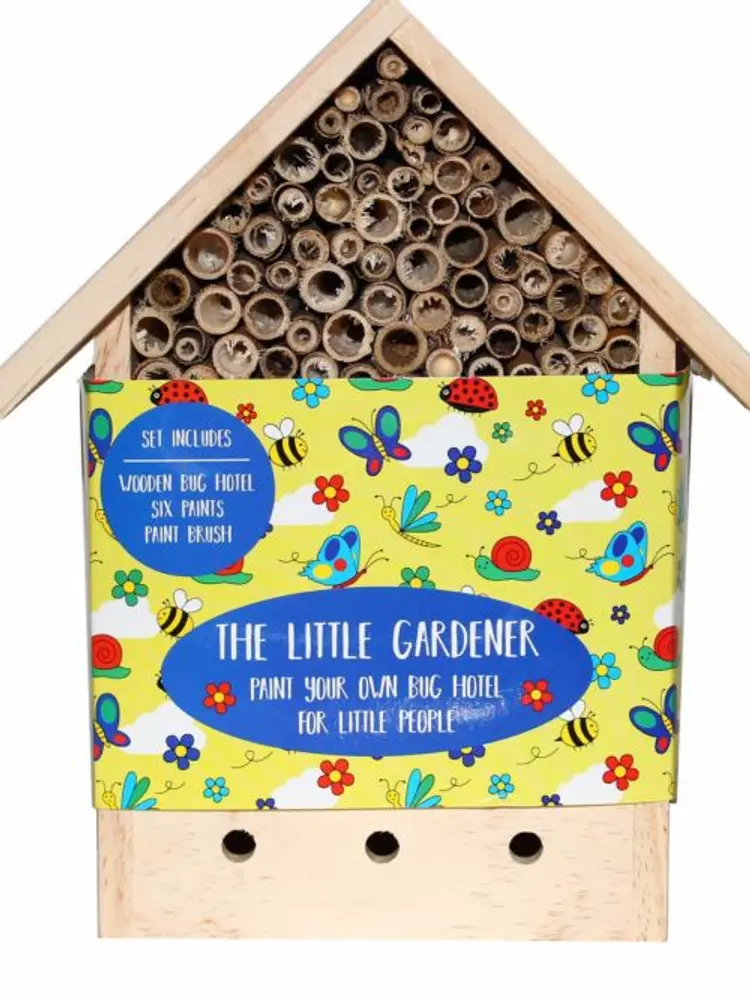 Paint Your Own Bug Hotel - Mal dit eget insekthotel af Robert Frederick