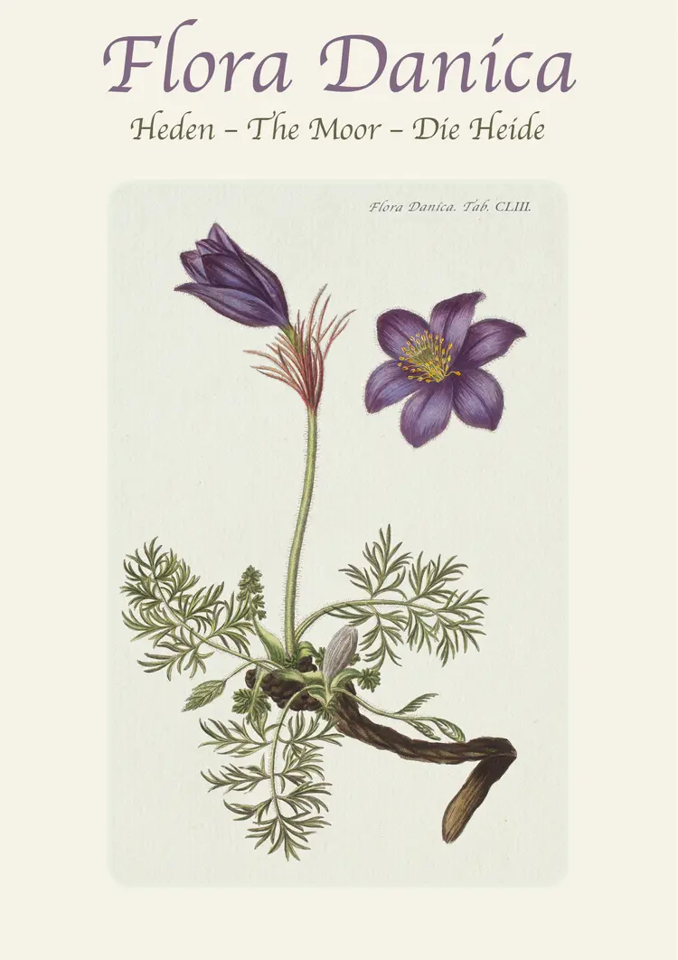 Flora Danica - HEDEN af .