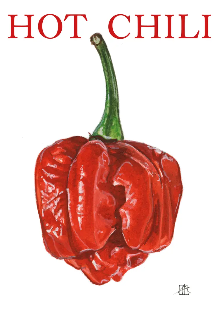 HOT CHILI af Anne Hviid Nicolaisen