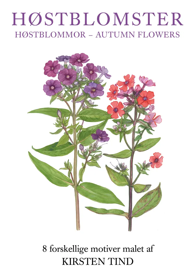Høstblomster Kortmappe af Tind