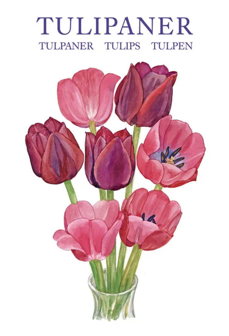 TULIPANER af Kirsten Tind