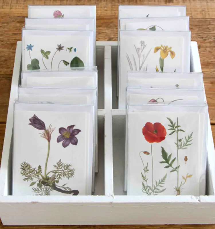 FLORA DANICA Minikort (A7) i plastbokse af Danske kunstnere gennem 123 år