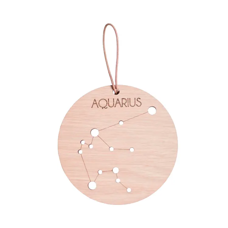 Zodiac Constellation - Aquarius af Hagelens