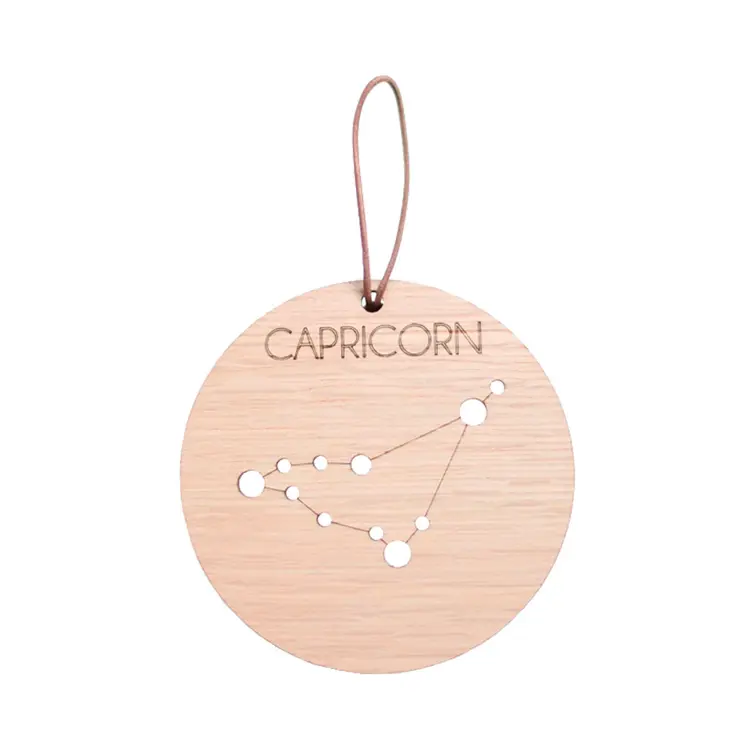 Zodiac Constellation - Capricorn af Hagelens