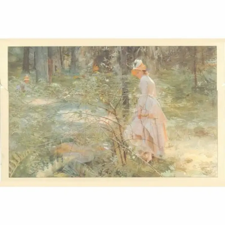 Brevmappe Anders Zorn 12 dobbelte kort m/4 motiver af Hjelm Förlag