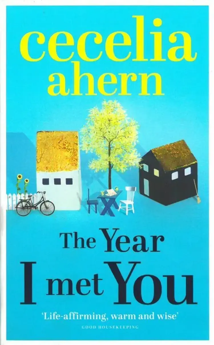 The Year I Met You af Cecelia Ahern