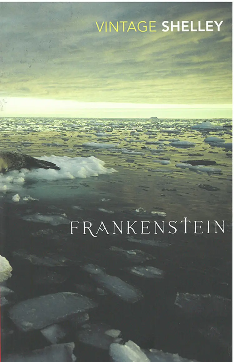 Frankenstein af Mary Wollenstonecraft Shelley