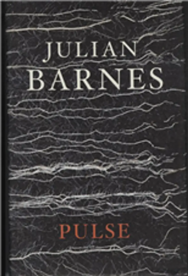 PULSE af JULIAN BARNES