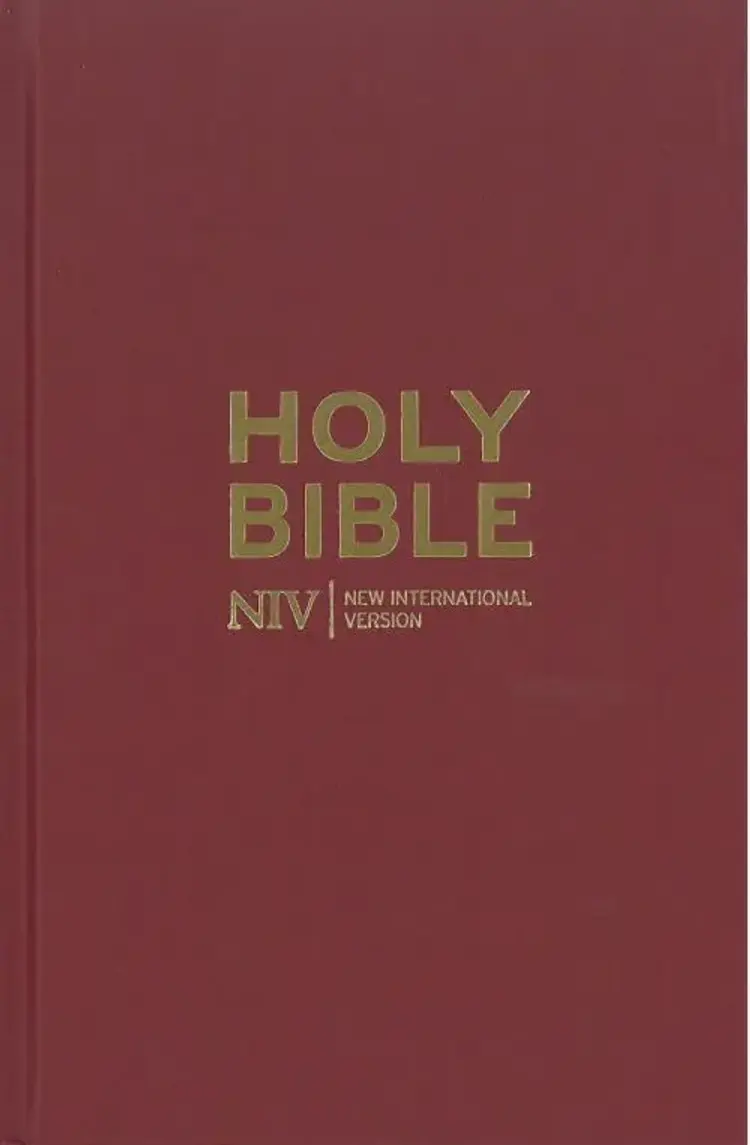 Holy Bible - New International Version