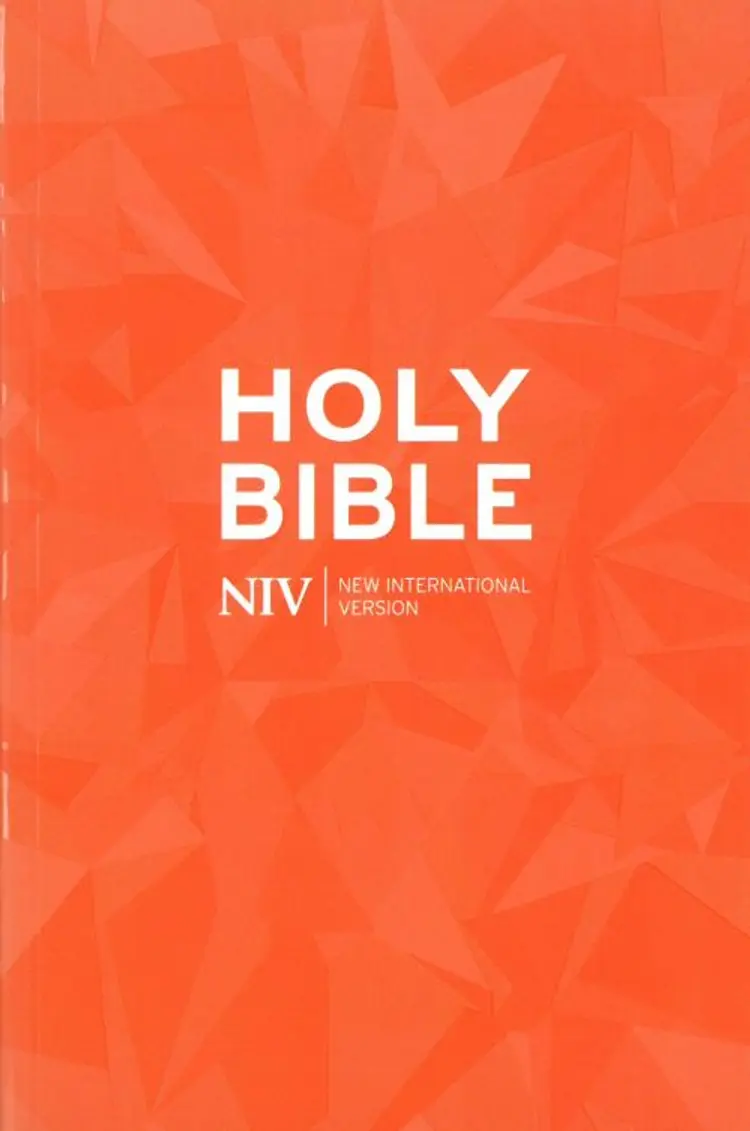 Holy Bible - New International Version af Hodder Bibles