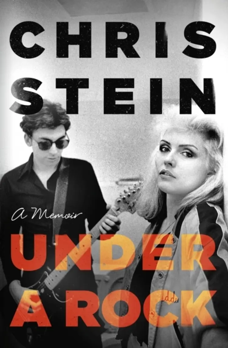 Under a Rock af Chris Stein