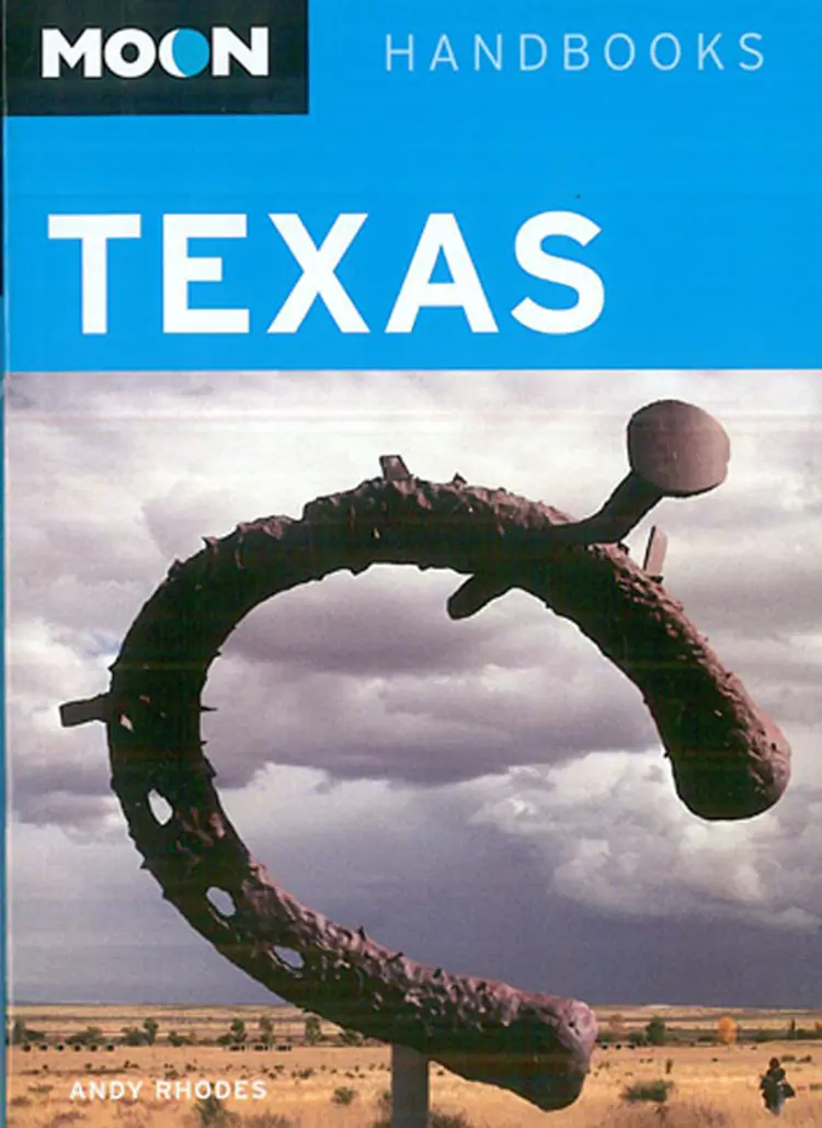 Texas af Andy Rhodes