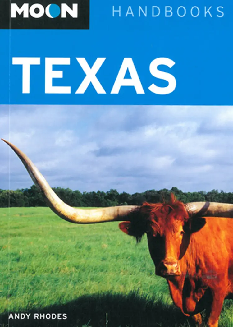 Texas af Andy Rhodes