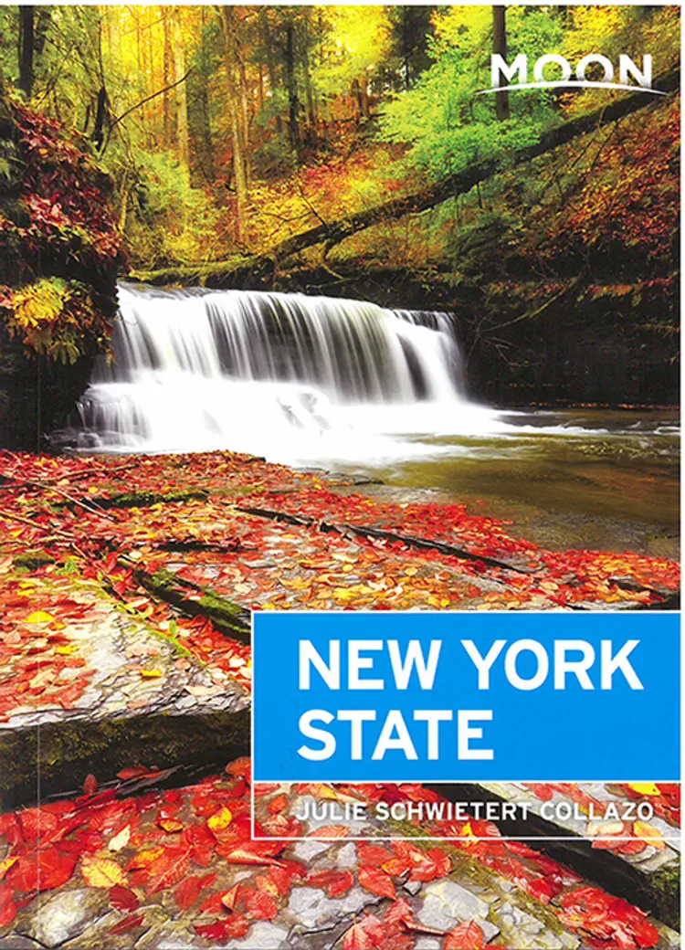 New York State af Julie Schwietert Collazo