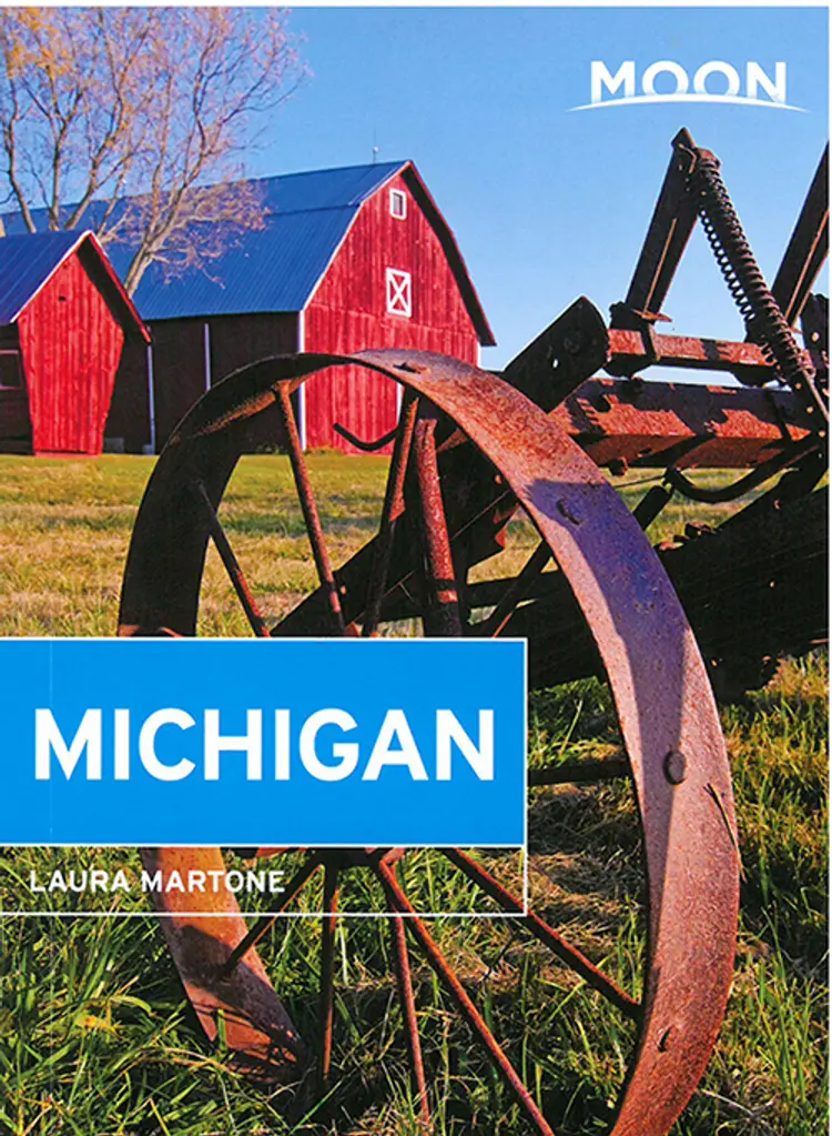 Michigan af Laura Martone