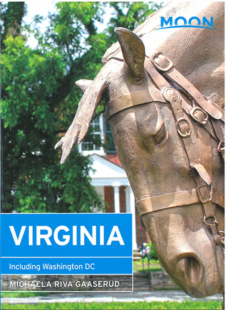 Virginia af Michaela Riva Gaaserud