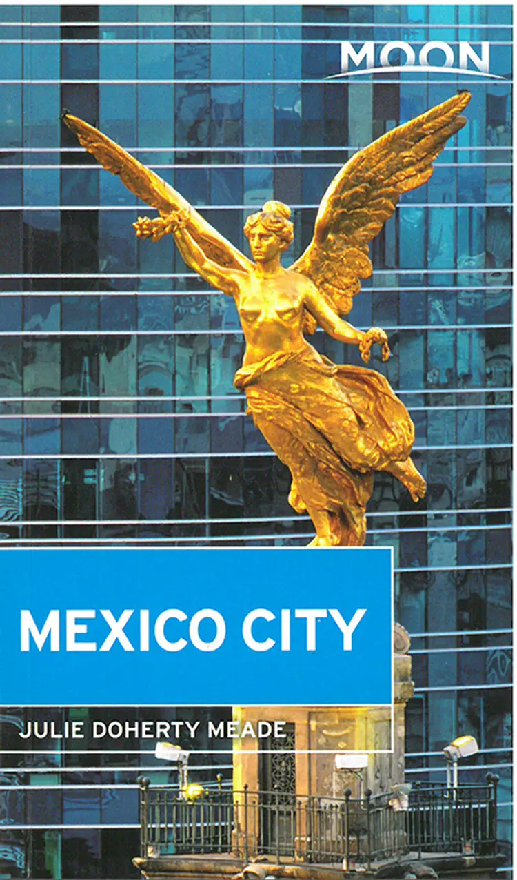 Mexico City af Julia Doherty Meade