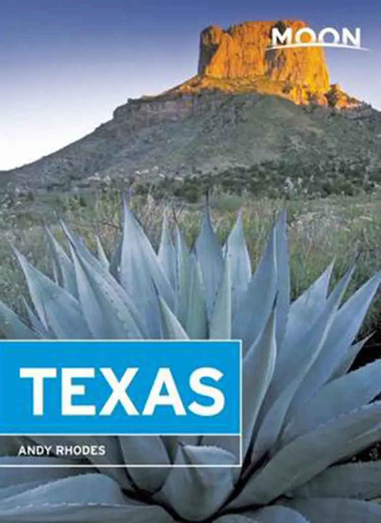 Texas af Andy Rhodes