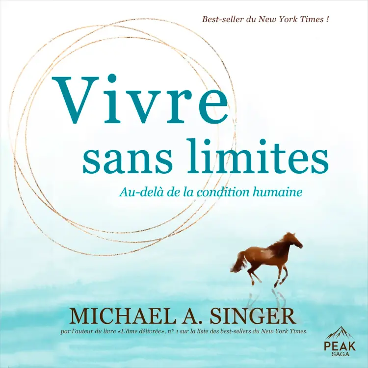 Vivre sans limites af Michael A. Singer