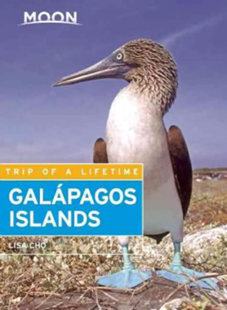 Galapagos Islands af Lisa Cho