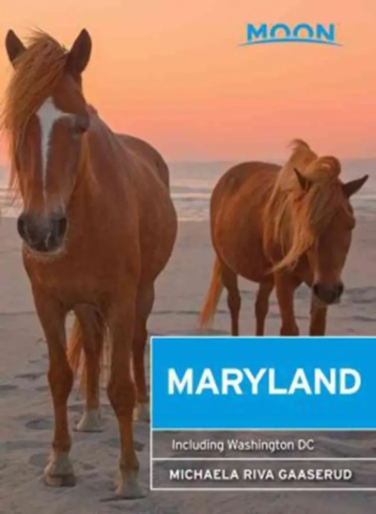 Maryland af Michaela Riva Gaaserud