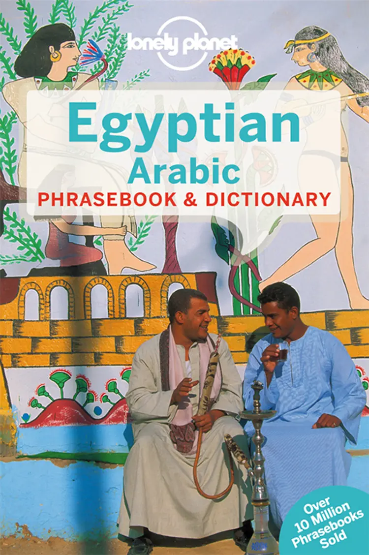 Egyptian Arabic Phrasebook & Dictionary af Lonely Planet