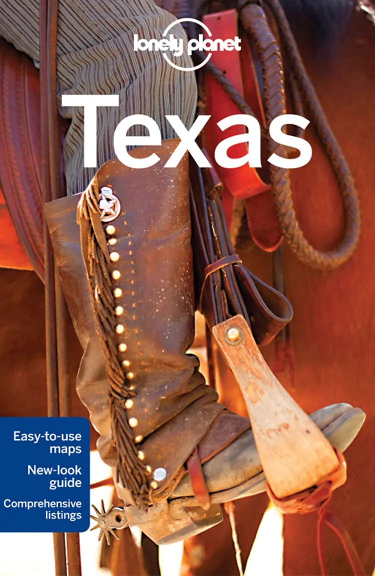 Texas af Lisa Dunford