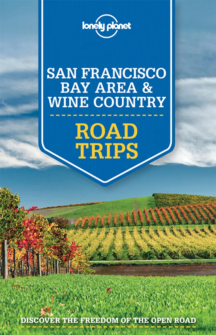 San Francisco Bay Area & Wine Country Road Trips af Lonely Planet