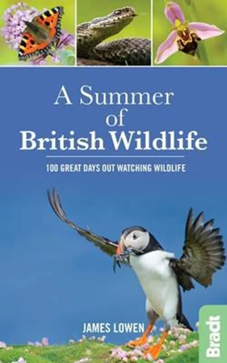 A Summer of British Wildlife: 100 great days out watching wildlife af James Lowen