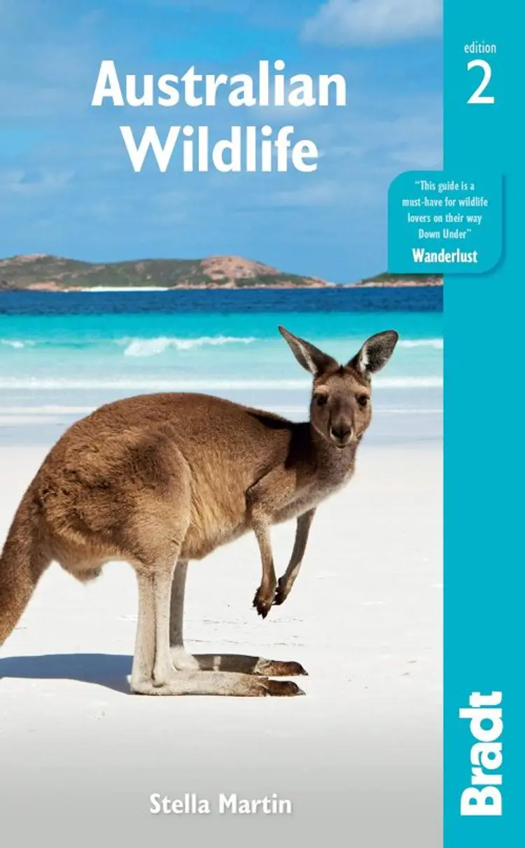 Australian Wildlife af Bradt Publications