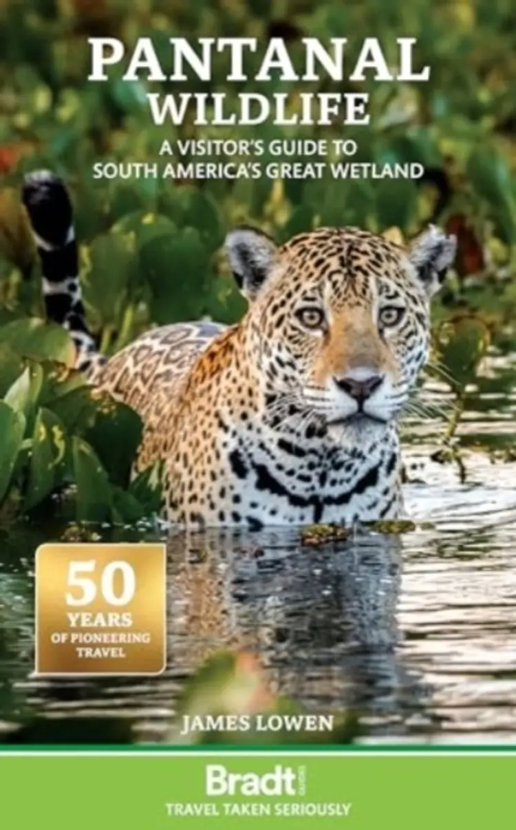 Pantanal Wildlife : A Visitors Guide to Brazil's Great Wetland af Lowen James