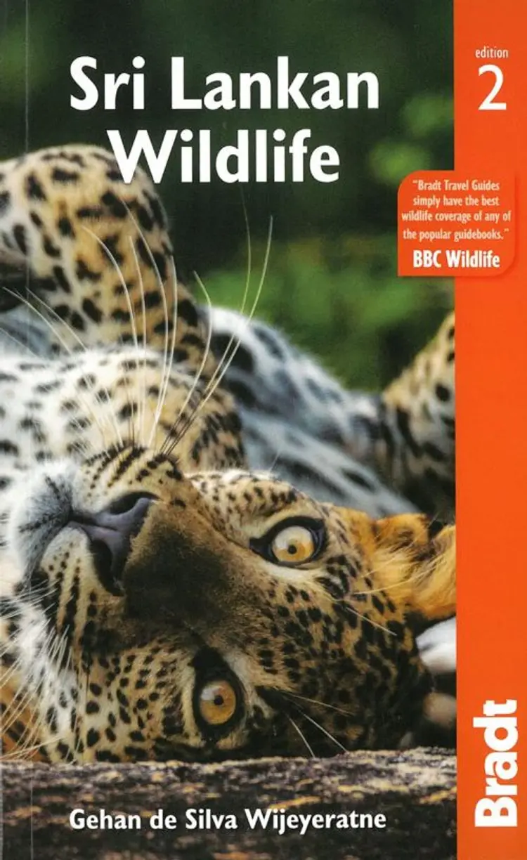 Sri Lankan Wildlife af Bradt Publications