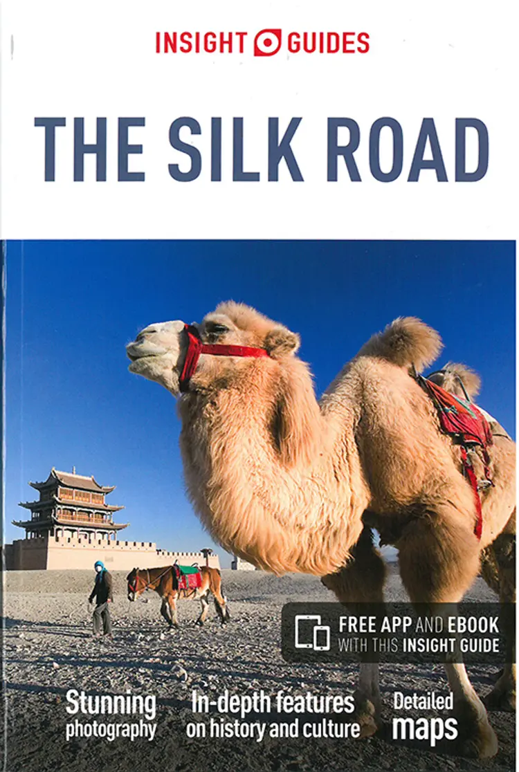 The Silk Road af APA Publications