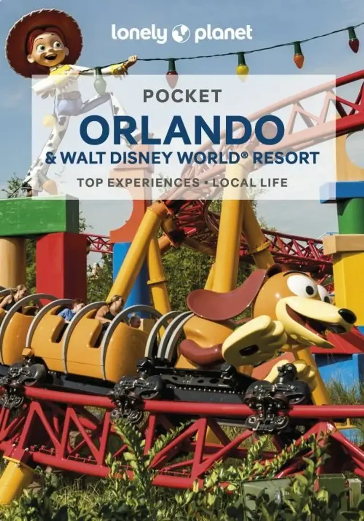 Orlando & Walt Disney World® Resort Pocket af Lonely Planet
