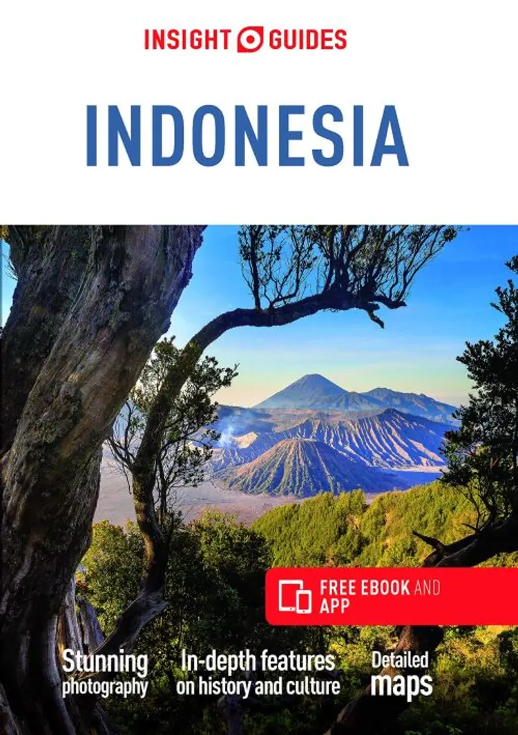 Indonesia af APA Publications