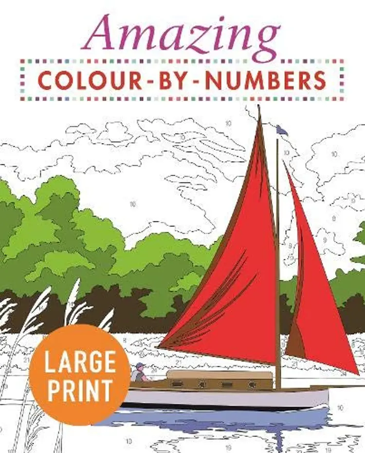 Amazing Colour by Numbers Large Print af Susanne James