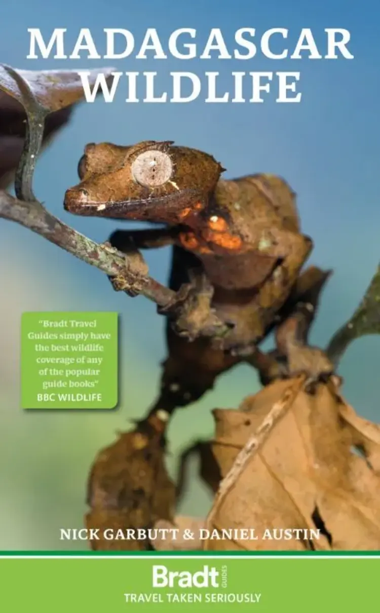 Madagascar Wildlife af Bradt Publications