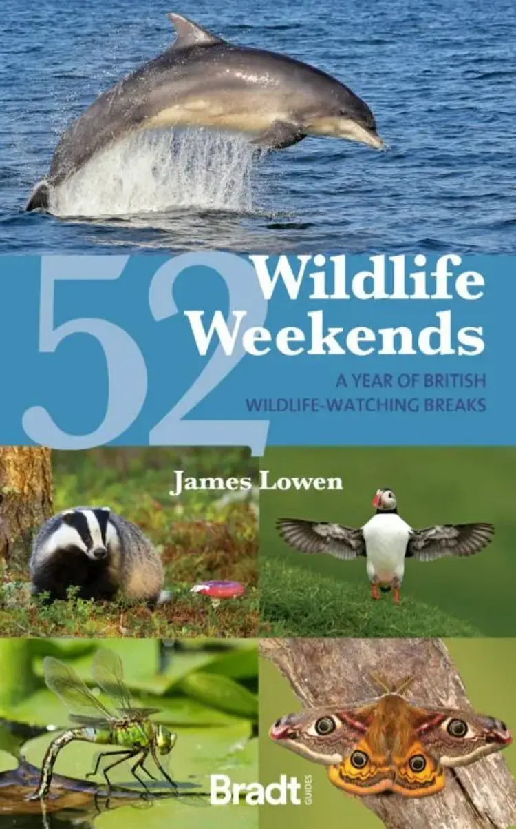 52 Wildlife Weekends: A Year of British Wildlife-Watching Breaks af Bradt Publications