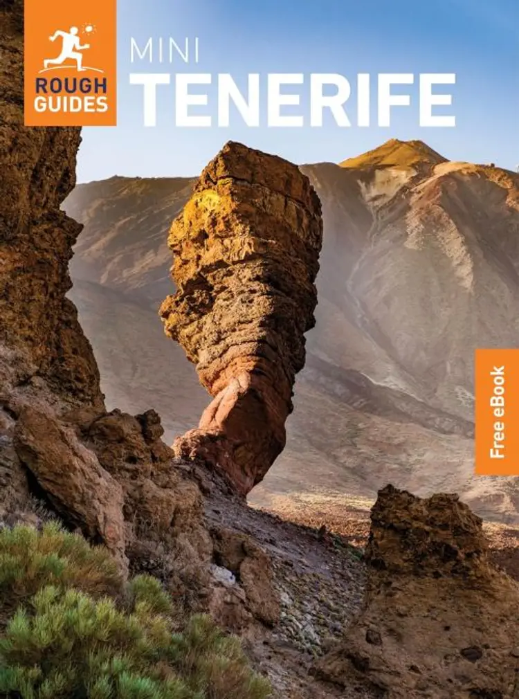 The Mini Rough Guide to Tenerife af Rough Guides
