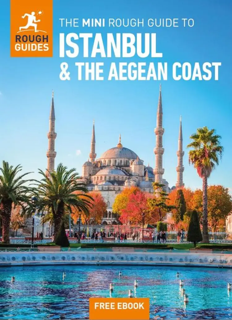 The Mini Rough Guide To Istanbul And The Aegean Coast Trave af Rough Guides