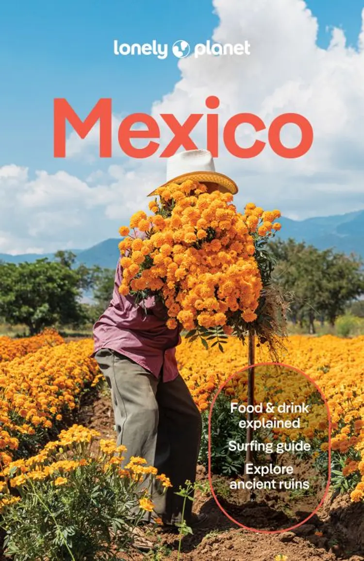 Mexico af Lonely Planet